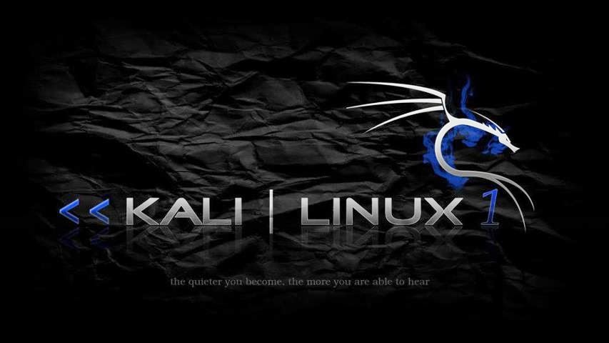 How to install Kali Linux tools on Ubuntu